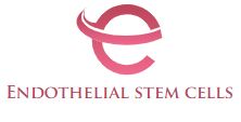 Endothelial stem cells (ESCs)